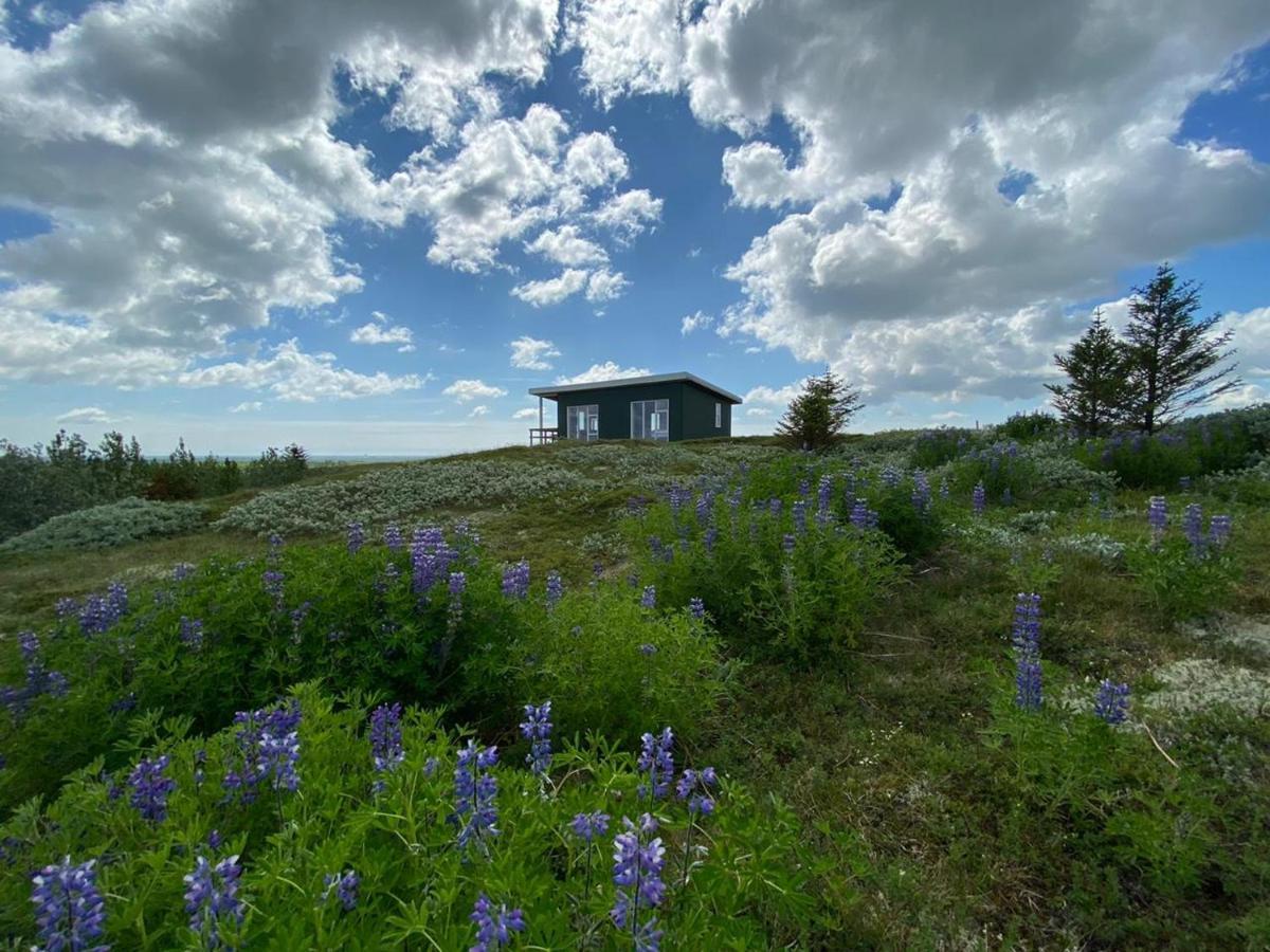 Skeiðvellir Panorama house Villa Hella Eksteriør bilde